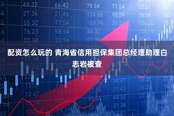 配资怎么玩的 青海省信用担保集团总经理助理白志岩被查