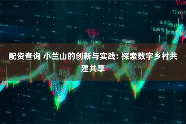 配资查询 小兰山的创新与实践: 探索数字乡村共建共享