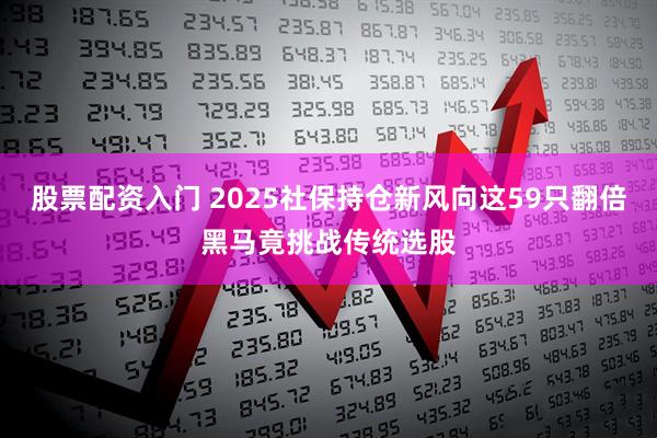 股票配资入门 2025社保持仓新风向这59只翻倍黑马竟挑战传统选股